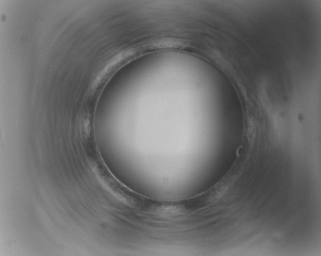 X0000051910063200507082040