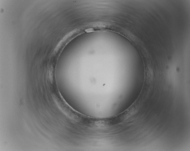 X0000051910064200507082040