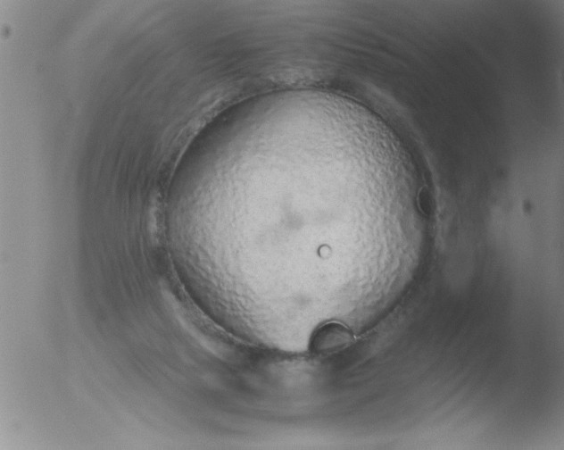 X0000051910065200507082040