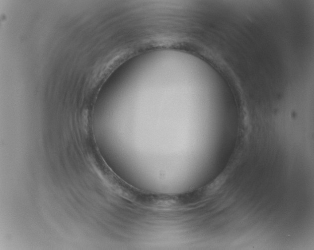 X0000051910066200507082040