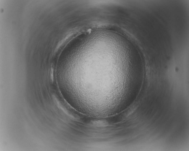 X0000051910067200507082040