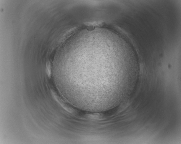 X0000051910069200507082040