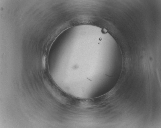 X0000051910070200507082040