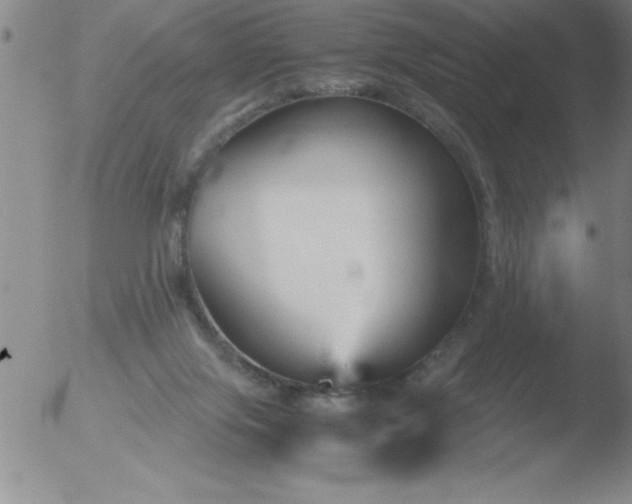 X0000051910071200507082040