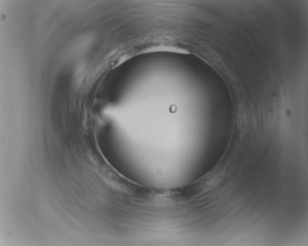 X0000051910072200507082040