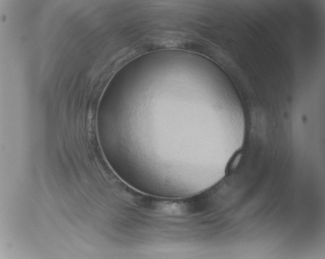 X0000051910073200507082040