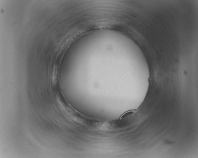 X0000051910074200507082040