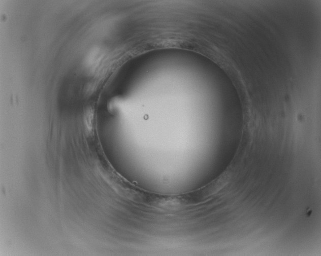 X0000051910075200507082040