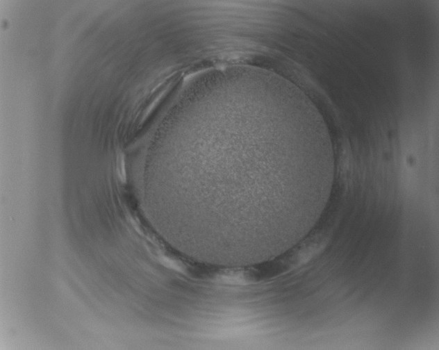 X0000051910076200507082040