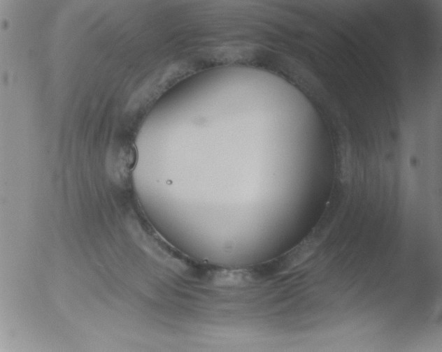 X0000051910077200507082040