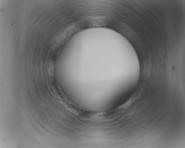 X0000051910078200507082040