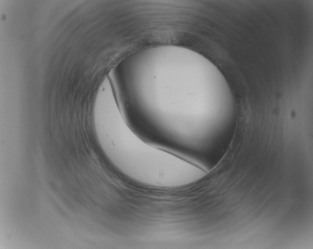 X0000051910080200507082040