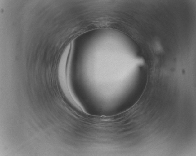 X0000051910081200507082040