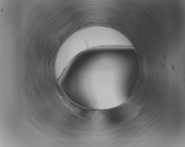 X0000051910082200507082040