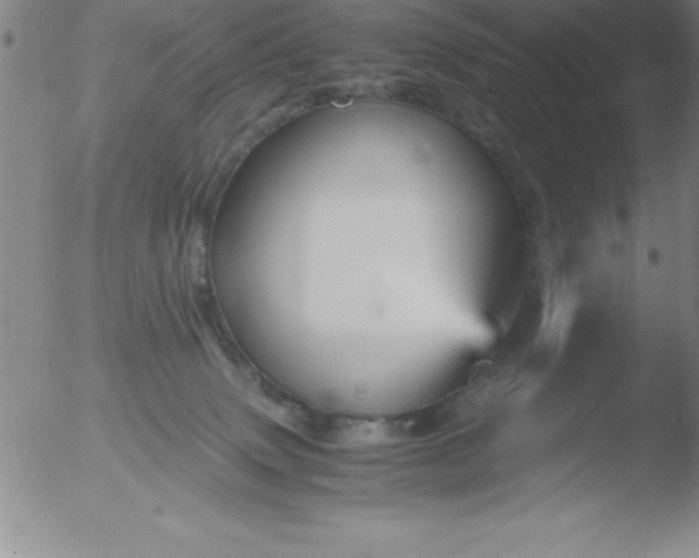 X0000051910083200507082040