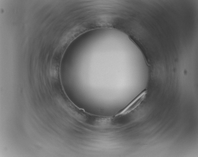 X0000051910084200507082040