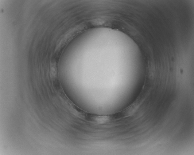 X0000051910085200507082040