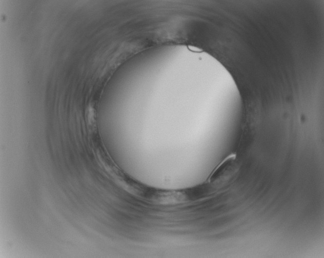 X0000051910087200507082040