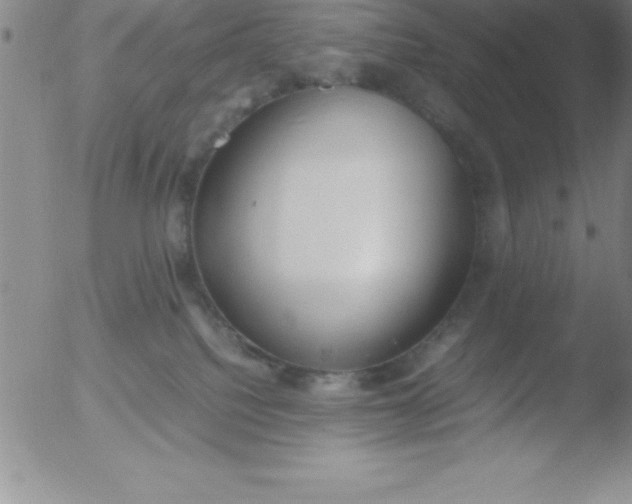 X0000051910088200507082040