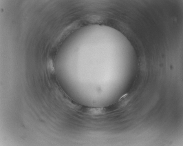 X0000051910089200507082040