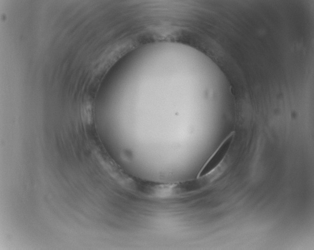 X0000051910090200507082040