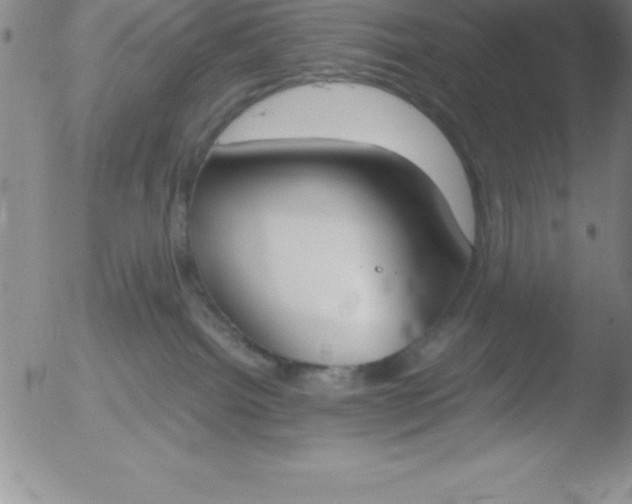 X0000051910092200507082040