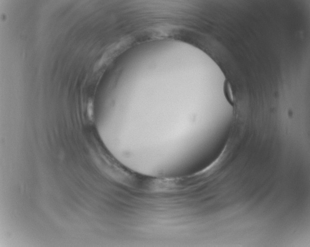 X0000051910094200507082040