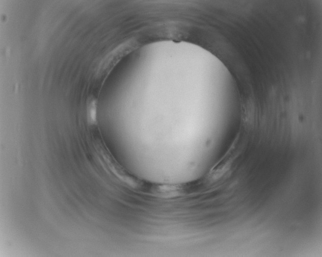 X0000051910095200507082040