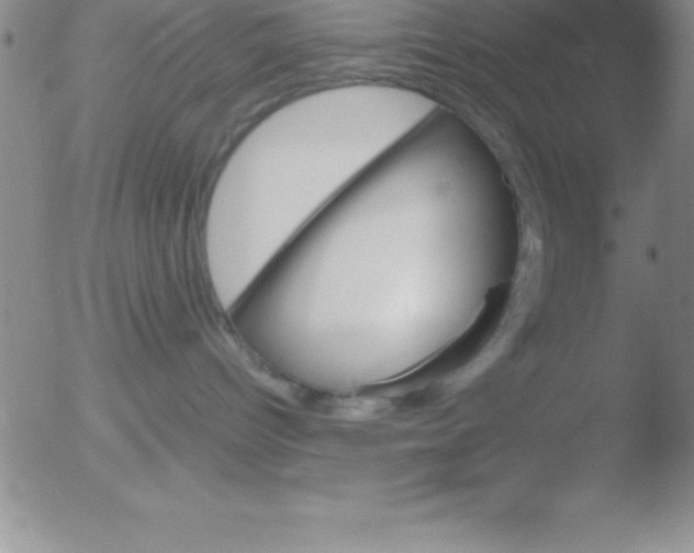 X0000051910096200507082040