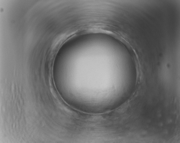 X0000051910097200507082040