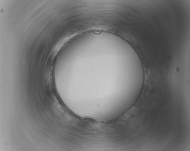 X0000051910098200507082040