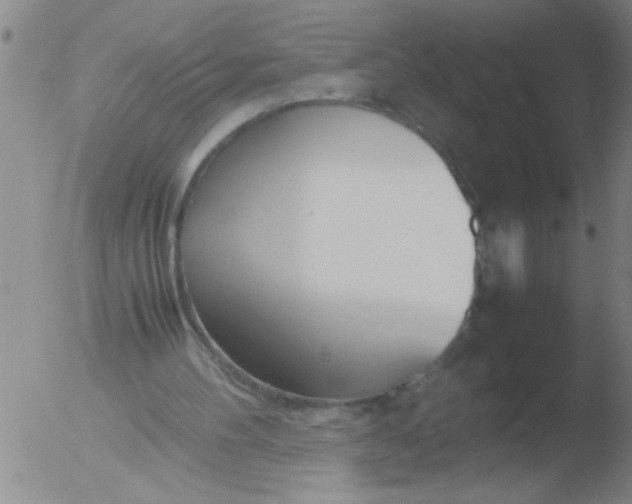 X0000051910100200507082040