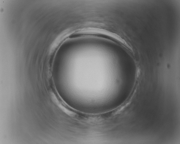 X0000051910101200507082040