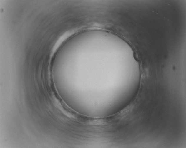 X0000051910102200507082040