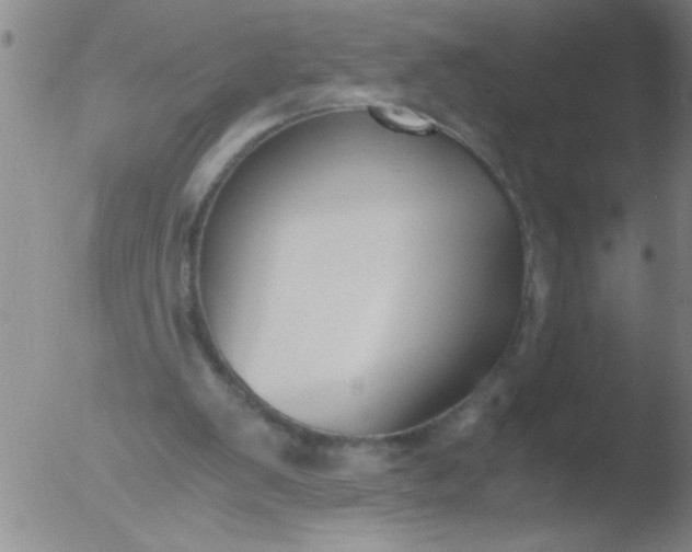 X0000051910103200507082040