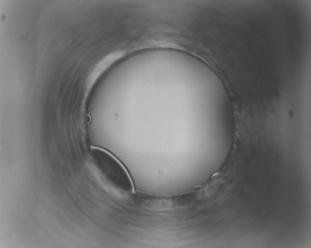 X0000051910104200507082040