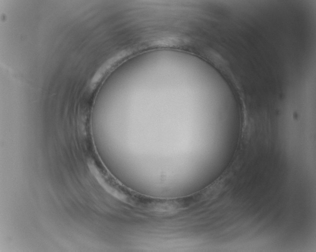 X0000051910106200507082040