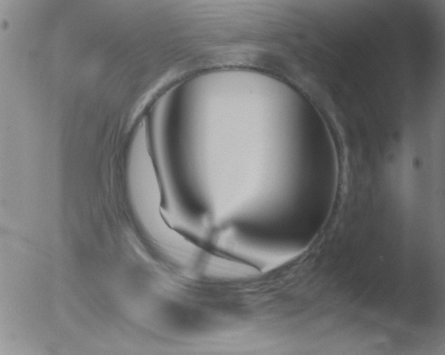 X0000051910107200507082040