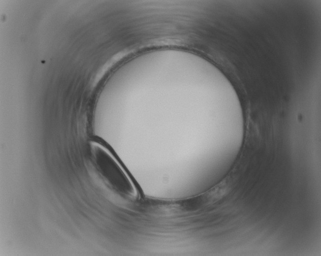 X0000051910108200507082039