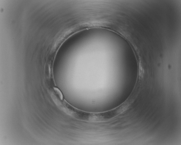 X0000051910109200507082039