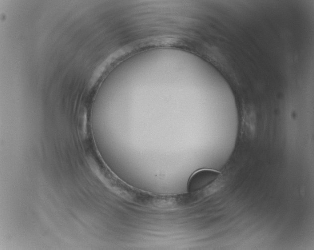 X0000051910110200507082039