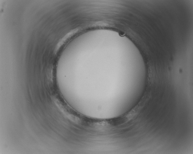 X0000051910112200507082039