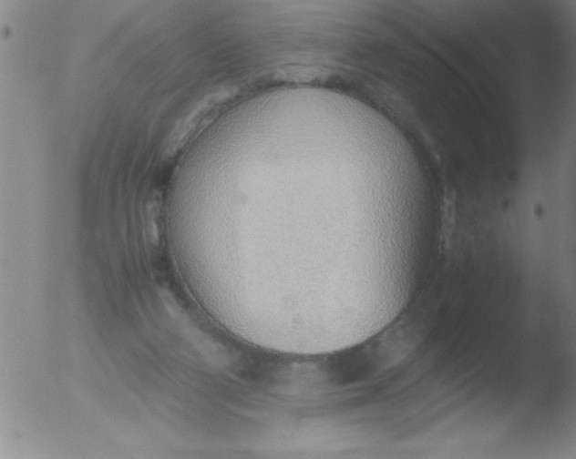 X0000051910114200507082039