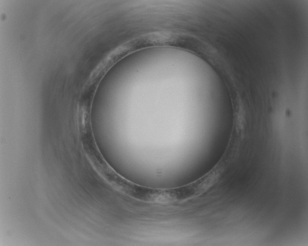 X0000051910115200507082039