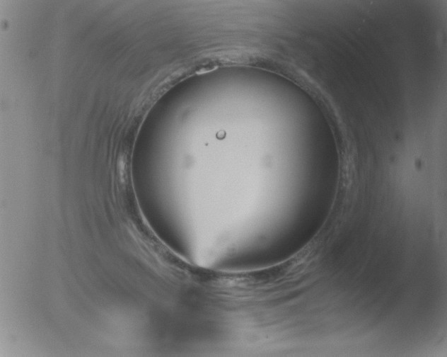 X0000051910117200507082039