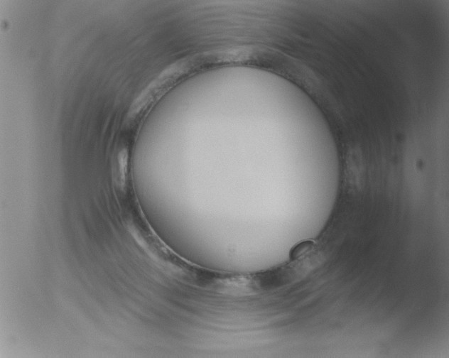 X0000051910118200507082039