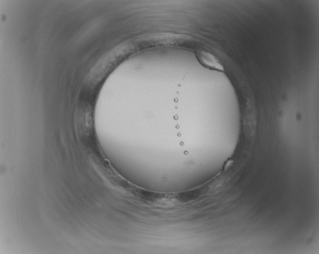 X0000051910119200507082039