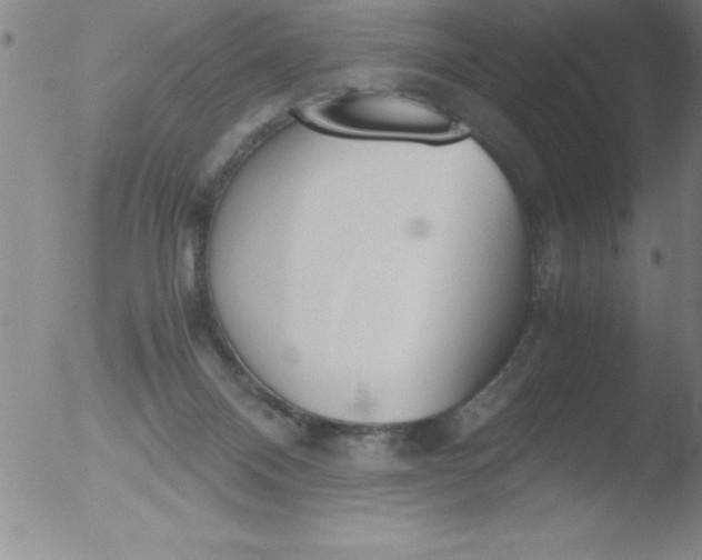 X0000051910120200507082039