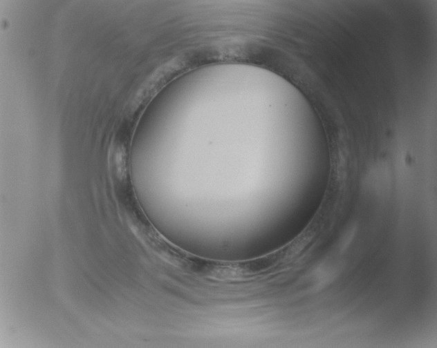 X0000051910123200507082039