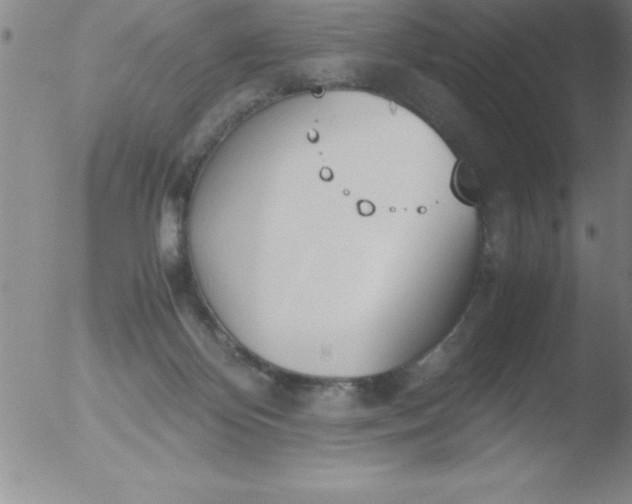 X0000051910124200507082039